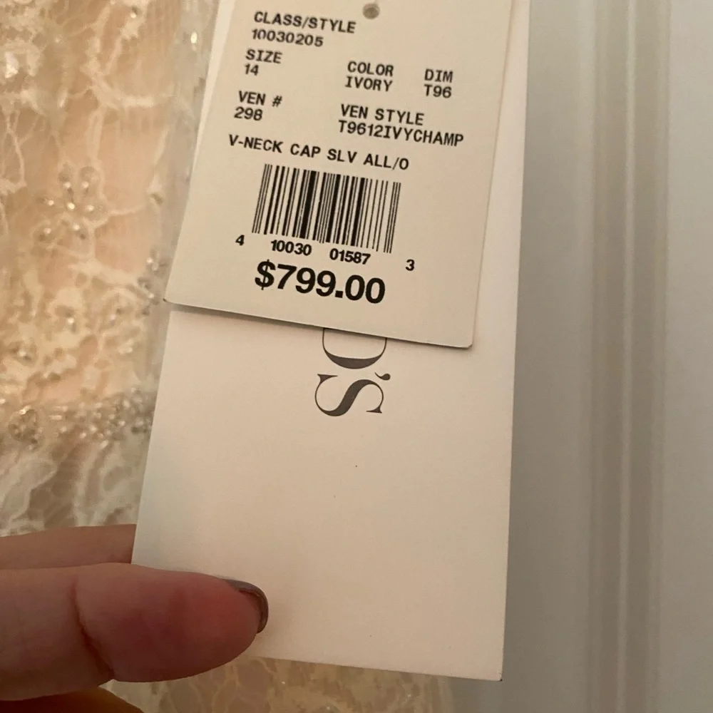 Brand new, never worn David’s Bridal Beaded Lace Wedding Gown in Ivory-Champagne - Picture 5 of 5